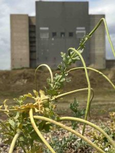 Robin-Cooper-5-Photo-14-07-2025-12-18-44