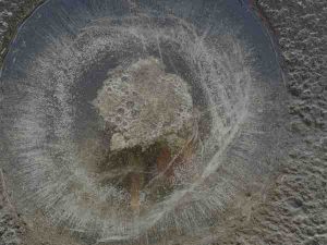 Robin-Cooper-Best-of-25-A-‘Ice-in-Bird-Bath