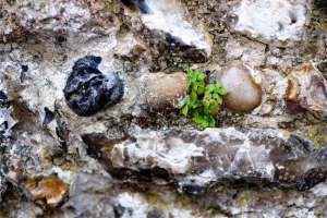 Stuart Turner Orford Wall