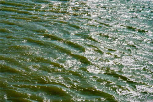 Stuart Turner Orford Water