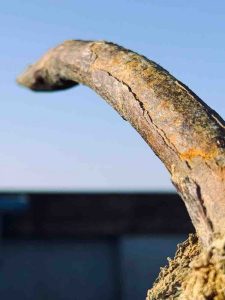 Stuart-Brooks-IMG 1930