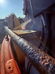 Stuart-Brooks-IMG 1955