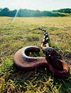 Stuart-Brooks-IMG 1971