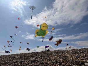 Stuart-Brooks-IMG 2333 (1)