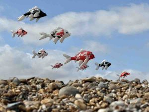 Stuart-Brooks-IMG 2348 (1)