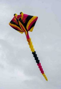 Stuart-Turner-Kites-2