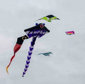 Stuart-Turner-Kites-3